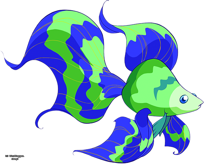 40_01_sitem40_normal.png