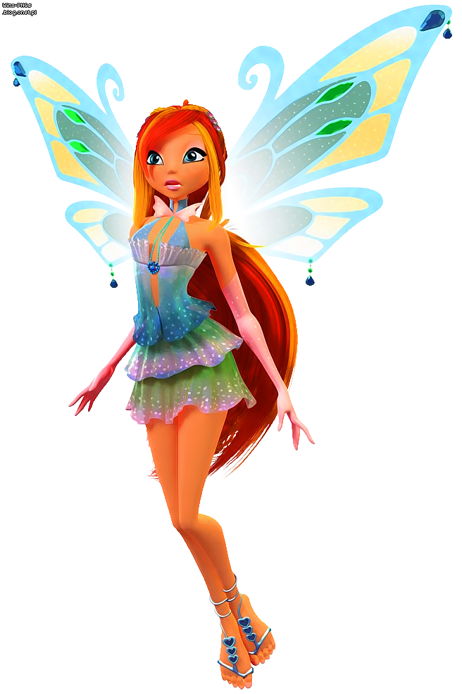 bloom_281029.png