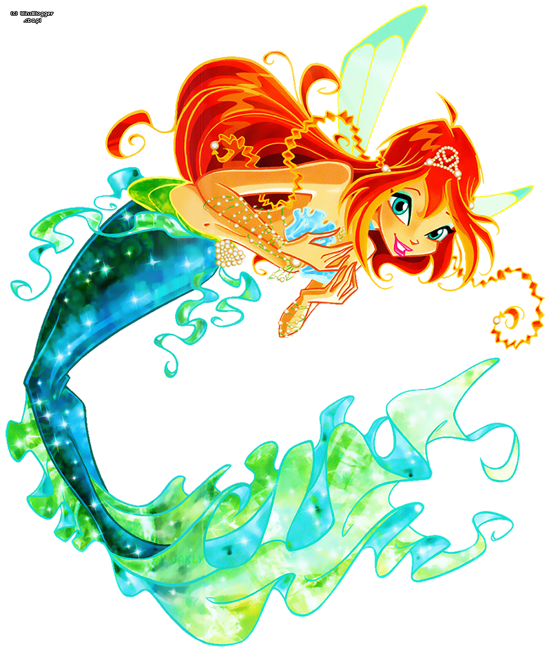 bloom_281129~0.png