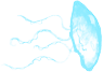fish5.png