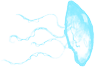 fish5.png