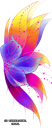 stella_28129~16.png