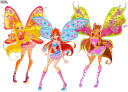 winx7834534.png
