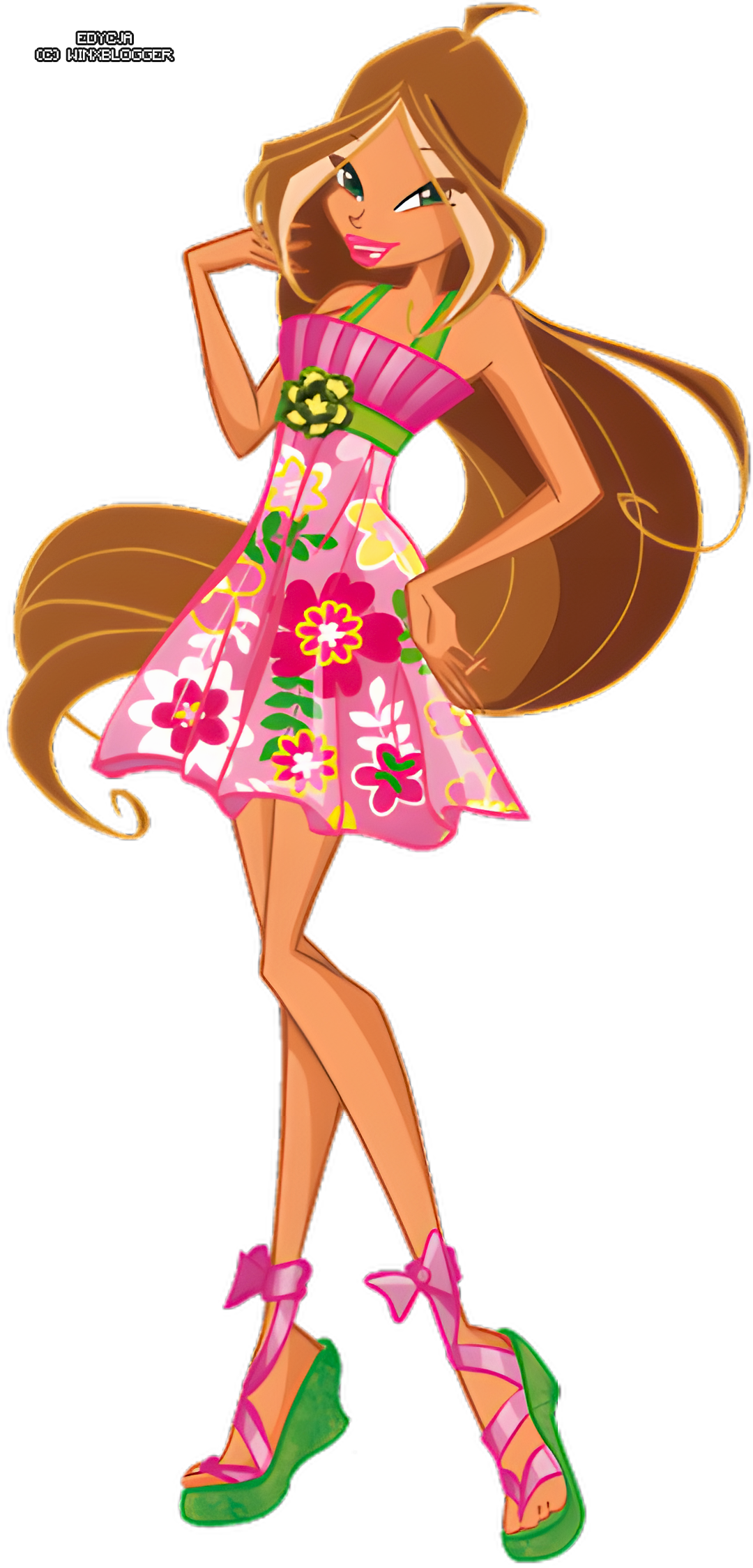 FLO_LVPET_01.png